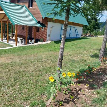 House In Forest Zabljak  Exterior photo