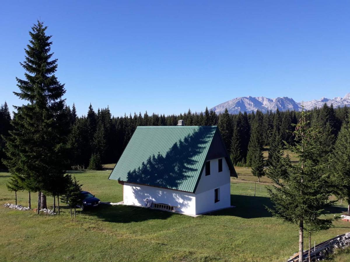 House In Forest Zabljak  Exterior photo
