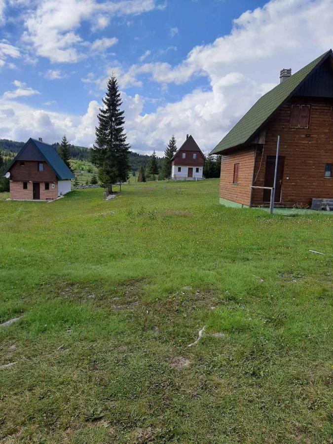 House In Forest Zabljak  Exterior photo