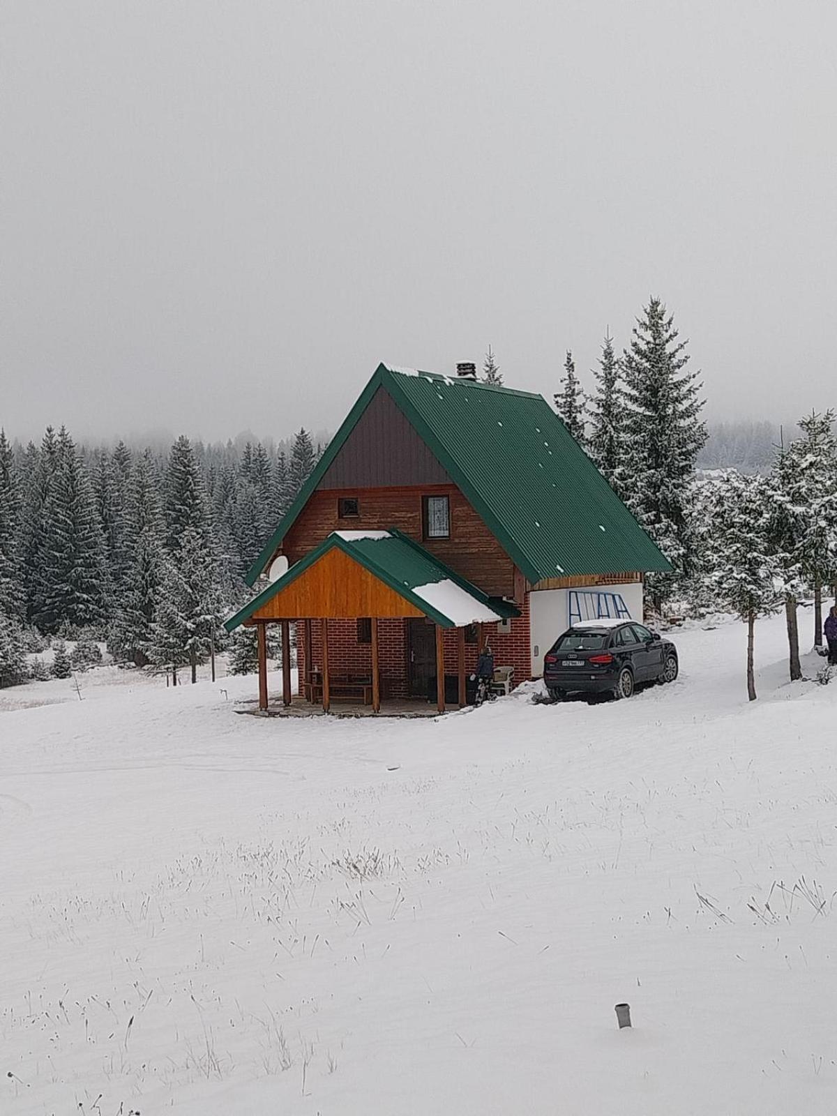 House In Forest Zabljak  Exterior photo