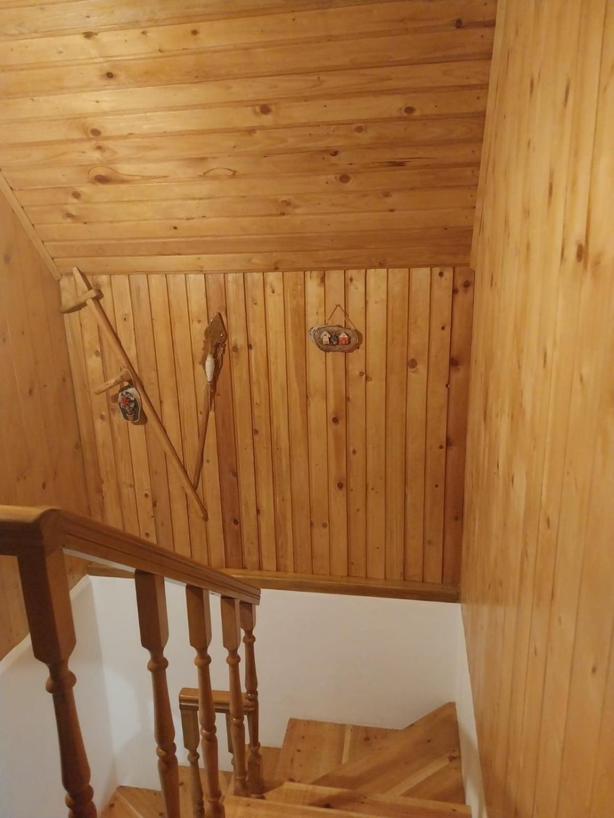 House In Forest Zabljak  Exterior photo